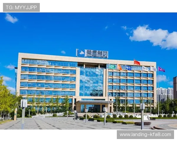 k8凯发国际官网入口的安全性分析，保障玩家在平台上的资金和个人信息安全